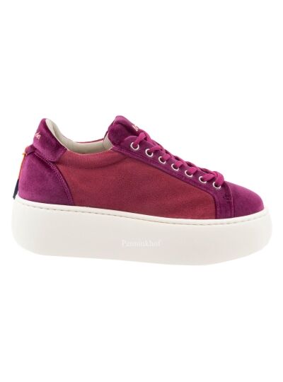 Barracuda Sneaker BD1343